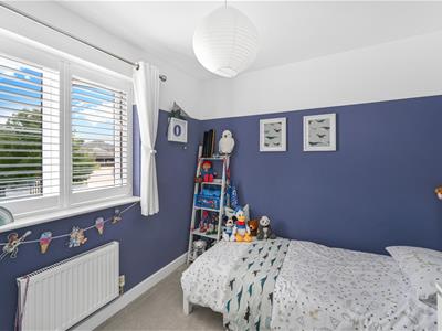 Picture 21